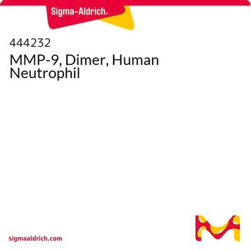 MMP-9, Dimer, Human Neutrophil