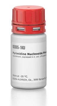 Pyrimidine Nucleoside Phosphorylase from Bacillus subtilis recombinant, expressed in E. coli, &#8805;70&#160;units/mg protein