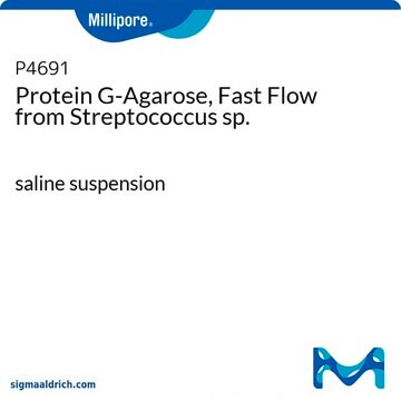 プロテイン&#160;G–アガロース, 高流速 Streptococcus sp.（レンサ球菌）由来 saline suspension