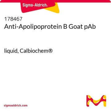 Anti-Apolipoprotein B Goat pAb liquid, Calbiochem&#174;