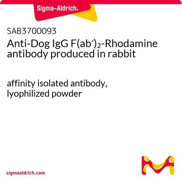 Anti-Dog IgG F(ab&#8242;)2-Rhodamine antibody produced in rabbit affinity isolated antibody, lyophilized powder