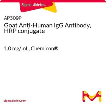 Goat Anti-Human IgG Antibody, HRP conjugate 1.0&#160;mg/mL, Chemicon&#174;