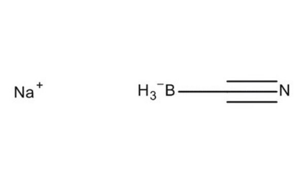 Sodium cyanoborohydride for synthesis