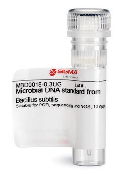 Microbial DNA standard from Bacillus subtilis Suitable for PCR, Sequencing and NGS, 10&#160;ng/&#956;L