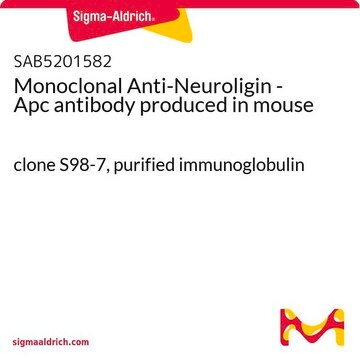 Monoclonal Anti-Neuroligin - Apc antibody produced in mouse clone S98-7, purified immunoglobulin