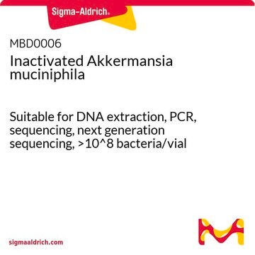 Inactivated Akkermansia muciniphila Suitable for DNA extraction, PCR, sequencing, next generation sequencing, &gt;10^8 bacteria/vial