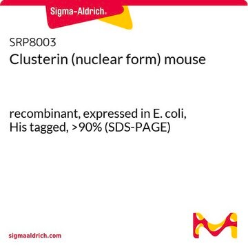 Clusterin (nuclear form) mouse recombinant, expressed in E. coli, His tagged, &gt;90% (SDS-PAGE)