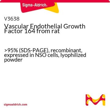 Vascular Endothelial Growth Factor 164 from rat &gt;95% (SDS-PAGE), recombinant, expressed in NSO cells, lyophilized powder