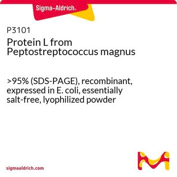 Protein L from Peptostreptococcus magnus &gt;95% (SDS-PAGE), recombinant, expressed in E. coli, essentially salt-free, lyophilized powder