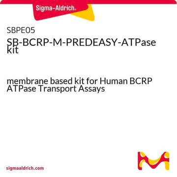 SB-BCRP-M-PREDEASY-ATPase kit membrane based kit for Human BCRP ATPase Transport Assays