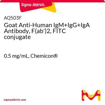 Goat Anti-Human IgM+IgG+IgA Antibody, F(ab&#8242;)2, FITC conjugate 0.5&#160;mg/mL, Chemicon&#174;