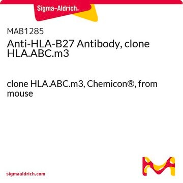 Anti-HLA-B27,Cln HLA-ABC-m3 (mouse monoclonal) clone HLA.ABC-m3, Chemicon&#174;, from mouse