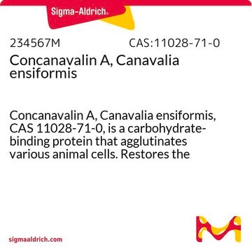 Concanavalin A, Canavalia ensiformis Concanavalin A, Canavalia ensiformis, CAS 11028-71-0, is a carbohydrate-binding protein that agglutinates various animal cells. Restores the growth pattern of tumor cells to that of normal cells.