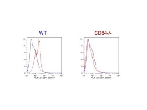 Anti-CD84/Slamf5 Antibody, clone 1D3 clone 1D3, from rat