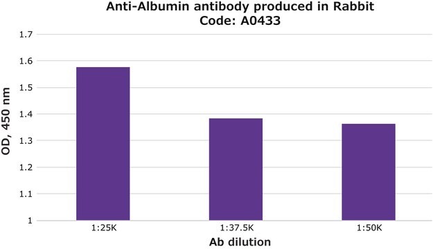 Anti-Albumin antibody produced in rabbit IgG fraction of antiserum