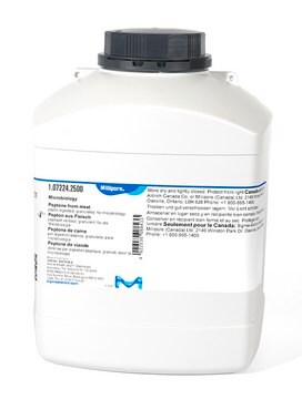 Peptone from meat peptic digested, granulated, suitable for microbiology