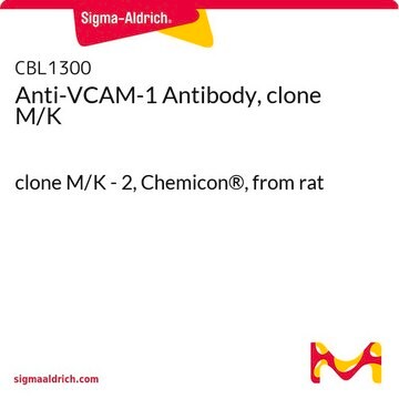 Anti-VCAM-1 Antibody, clone M/K clone M/K - 2, Chemicon&#174;, from rat