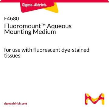 Fluoromount&#8482;水性マウンティング媒体 for use with fluorescent dye-stained tissues