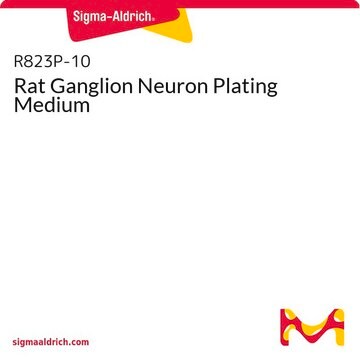 Rat Ganglion Neuron Plating Medium