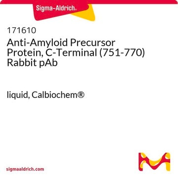 Anti-Amyloid Precursor Protein, C-Terminal (751-770) Rabbit pAb liquid, Calbiochem&#174;