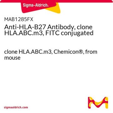 Anti-HLA-B27 Antibody, clone HLA.ABC.m3, FITC conjugated clone HLA.ABC.m3, Chemicon&#174;, from mouse