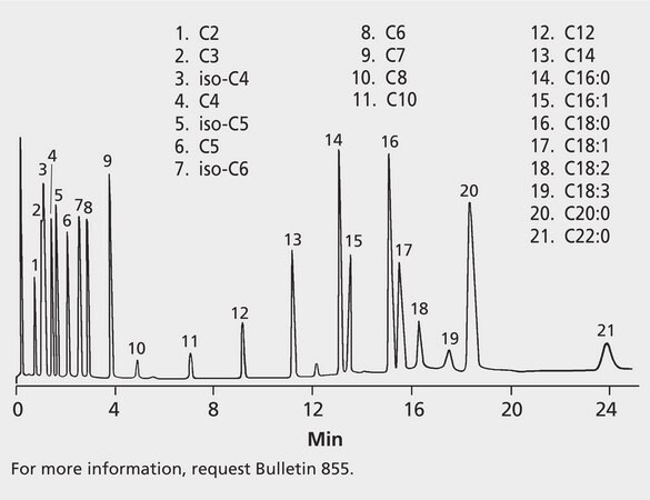 GC Analysis of C2-C22 Free Fatty Acids on Nukol suitable for GC