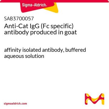 Anti-Cat IgG (Fc specific) antibody produced in goat affinity isolated antibody, buffered aqueous solution