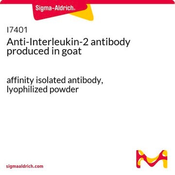 Anti-Interleukin-2 antibody produced in goat affinity isolated antibody, lyophilized powder