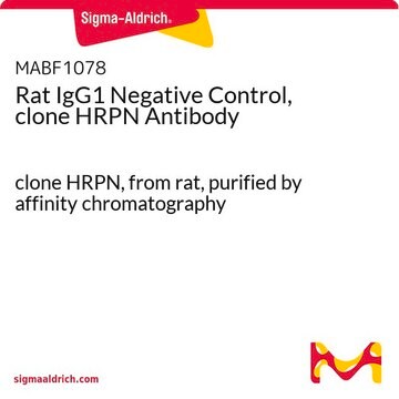 Rat IgG1 Negative Control, clone HRPN Antibody clone HRPN, from rat, purified by affinity chromatography