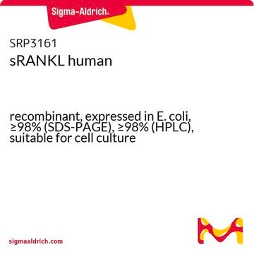 sRANKL human recombinant, expressed in E. coli, &#8805;98% (SDS-PAGE), &#8805;98% (HPLC), suitable for cell culture