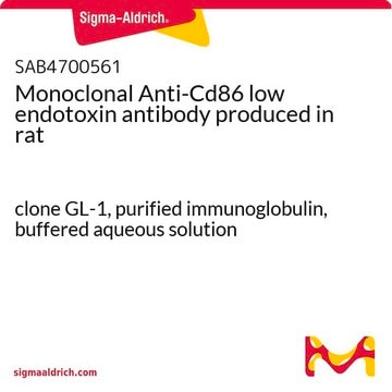 Monoclonal Anti-Cd86 low endotoxin antibody produced in rat clone GL-1, purified immunoglobulin, buffered aqueous solution