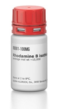 Rhodamine B isothiocyanate–Dextran average mol wt ~10,000