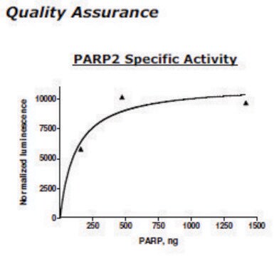 PARP2 Active human recombinant, expressed in baculovirus infected insect cells, &#8805;60% (SDS-PAGE)