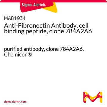 Anti-Fibronectin Antibody, cell binding peptide, clone 784A2A6 purified antibody, clone 784A2A6, Chemicon&#174;