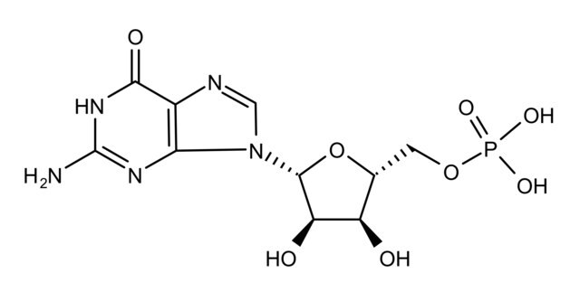 Polyguanylic acid potassium salt lyophilized powder