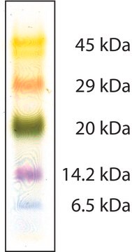 Color Marker low range, mol wt 6,500-45,000&#160;Da