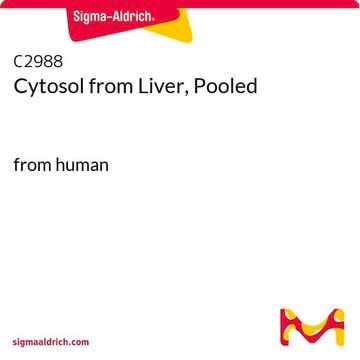 Cytosol from Liver, Pooled from human