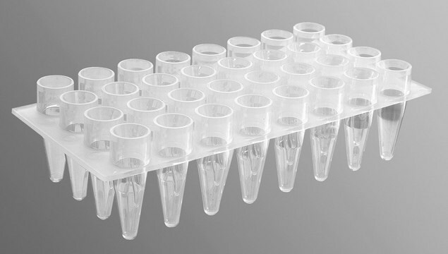 Corning&#174; Axygen&#174; 32 Well Polypropylene PCR Microplate size 32&#160;wells, conical bottom clear polypropylene wells, maximum volume 200&#160;&#956;L, pkg of 5x10plates/cs