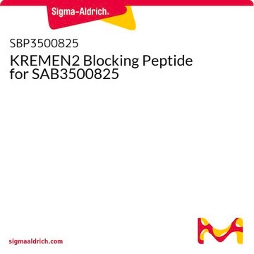 KREMEN2 Blocking Peptide for SAB3500825