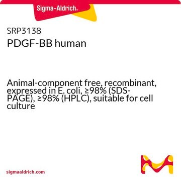 PDGF-BB human Animal-component free, recombinant, expressed in E. coli, &#8805;98% (SDS-PAGE), &#8805;98% (HPLC), suitable for cell culture