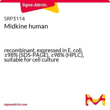 Midkine human recombinant, expressed in E. coli, &#8805;98% (SDS-PAGE), &#8805;98% (HPLC), suitable for cell culture