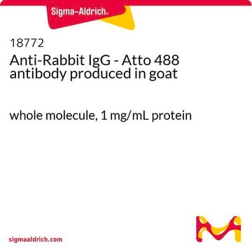 Anti-Rabbit IgG - Atto 488 antibody produced in goat whole molecule, 1&#160;mg/mL protein