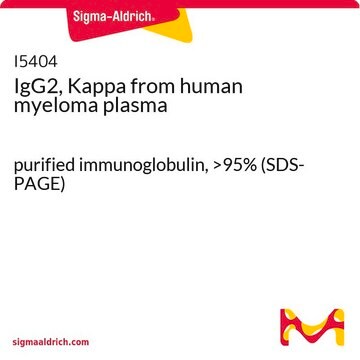 IgG2, Kappa from human myeloma plasma purified immunoglobulin, &gt;95% (SDS-PAGE)