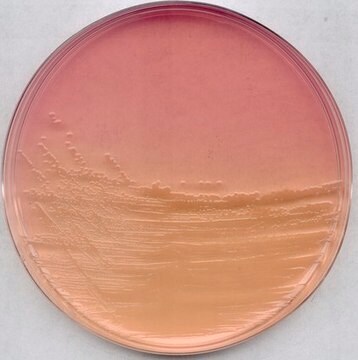 GranuCult&#174; ENDO agar for Escherichia coli, for coliforms, suitable for microbiology