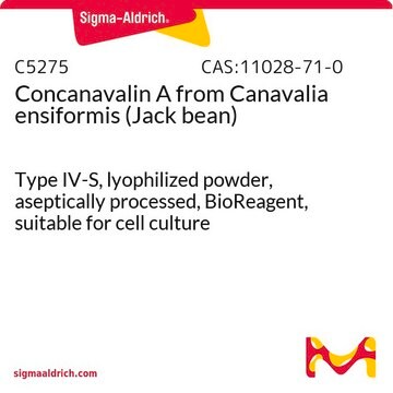 Concanavalin A from Canavalia ensiformis (Jack bean) Type IV-S, lyophilized powder, aseptically processed, BioReagent, suitable for cell culture