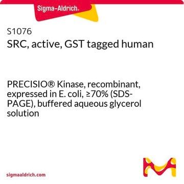 SRC, active, GST tagged human PRECISIO&#174; Kinase, recombinant, expressed in E. coli, &#8805;70% (SDS-PAGE), buffered aqueous glycerol solution