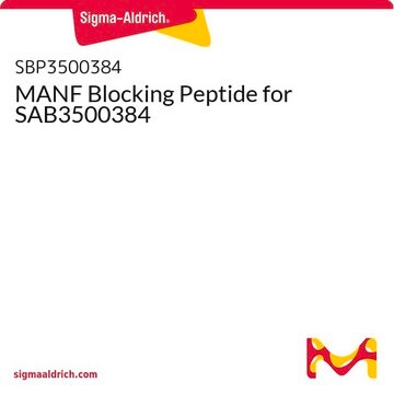 MANF Blocking Peptide for SAB3500384