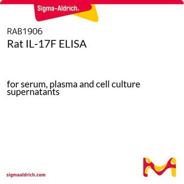 Rat IL-17F ELISA for serum, plasma and cell culture supernatants