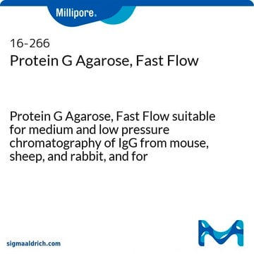 Protein G Agarose, Fast Flow Protein G Agarose, Fast Flow suitable for medium and low pressure chromatography of IgG from mouse, sheep, and rabbit, and for immunoprecipitations.