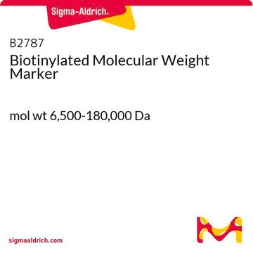 Biotinylated Molecular Weight Marker mol wt 6,500-180,000&#160;Da